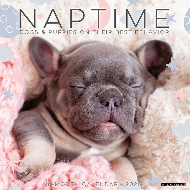 Dog Naps Calendar 2025