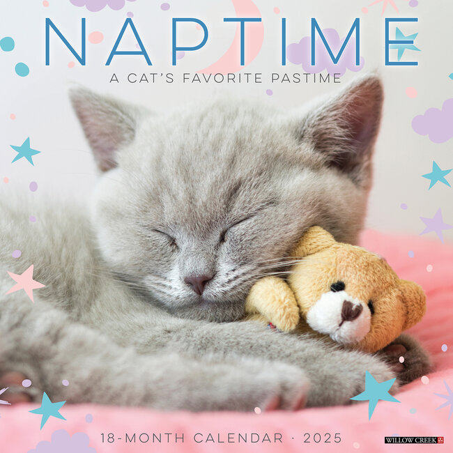 Cat Naps Kalender 2025