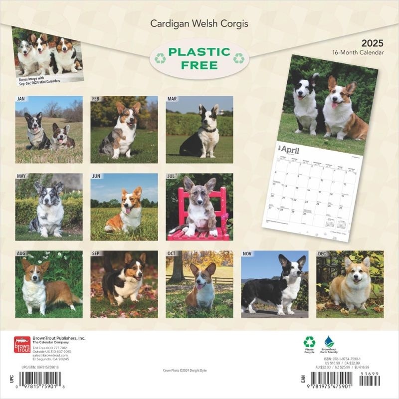 Buying Welsh Calendar 2025 pictures of the Welsh