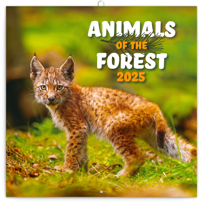 Animales del bosque Calendario 2025