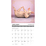 Calendrier Pig Pilates 2025