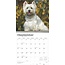 Calendrier West Highland White Terrier 2025