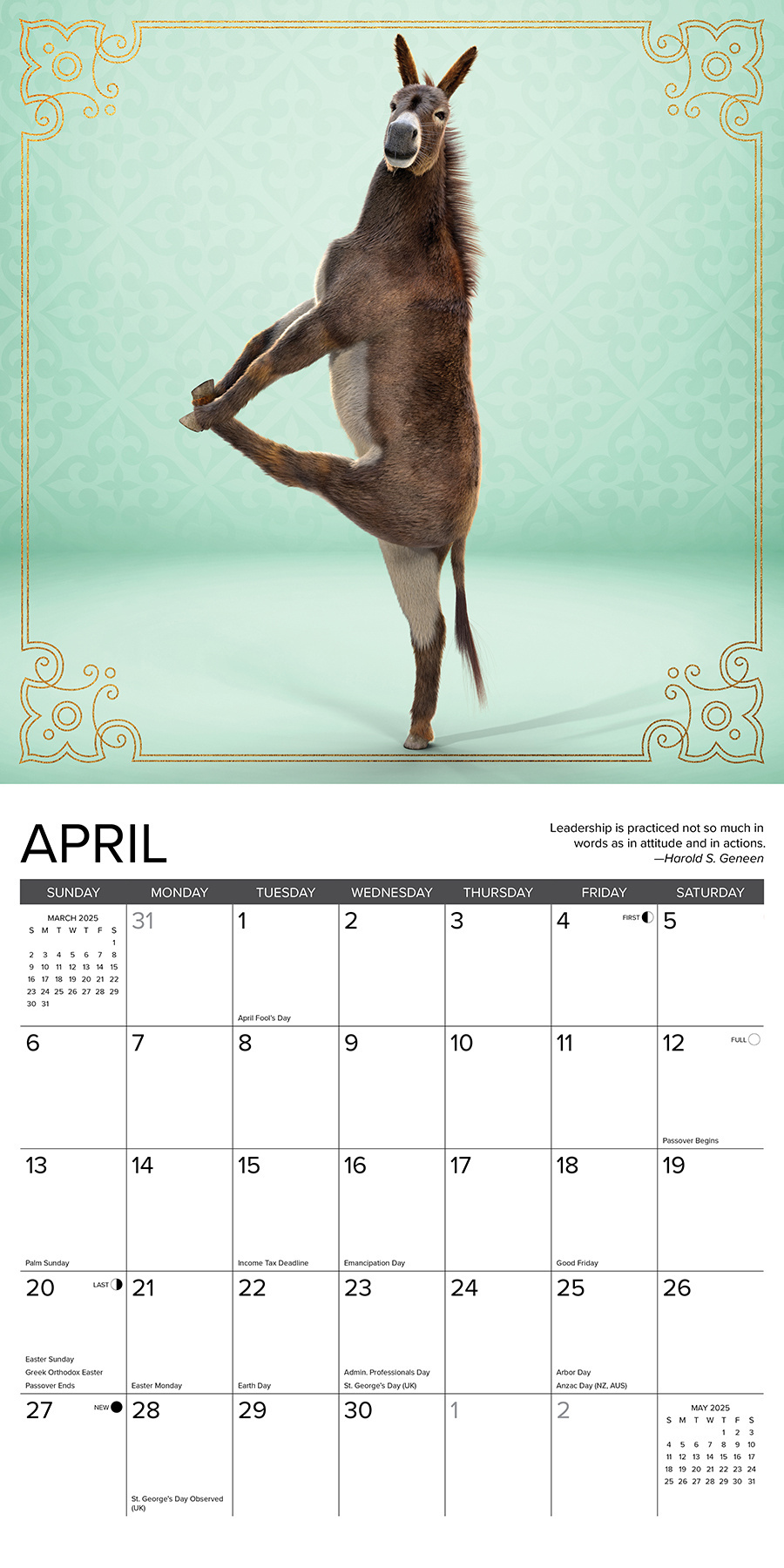el Calendario de Yoga Jackass 2025? Haz tu pedido en línea