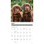 Labrador Retriever Puppies Calendar 2025