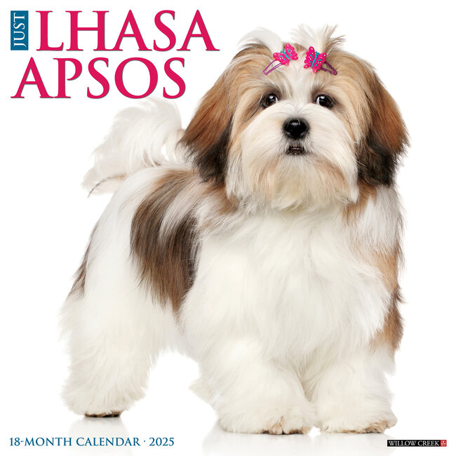 Lhasa Apso Calendar 2025