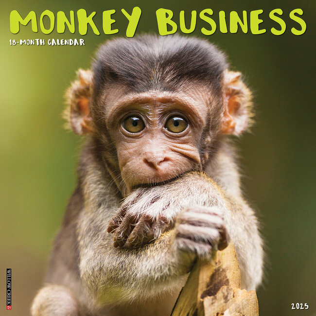 Willow Creek Monkey Business Calendar 2025