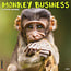 Calendario Monkey Business 2025