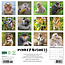 Monkey Business Calendar 2025