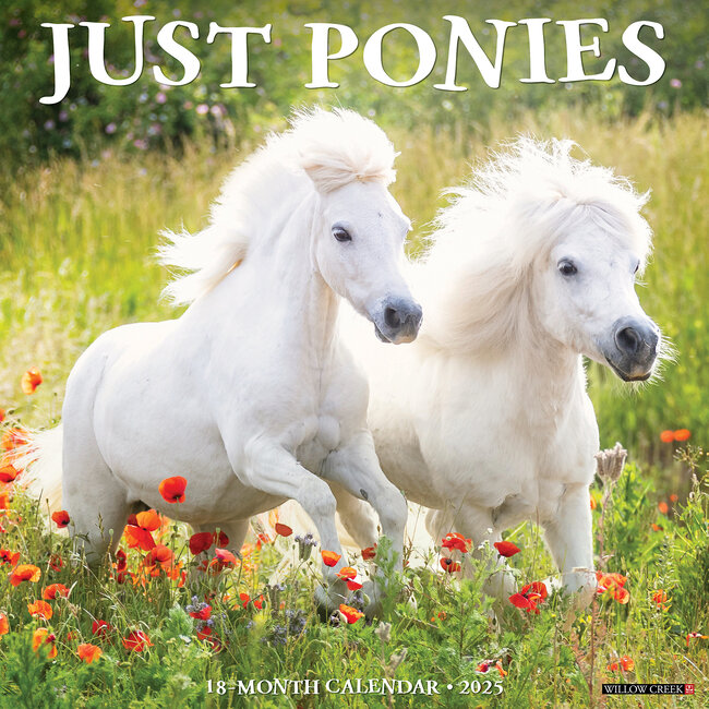 Ponies Calendar 2025