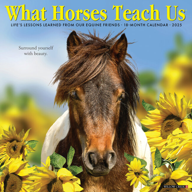 Was uns die Pferde lehren Kalender 2025