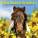 Willow Creek Cosa ci insegnano i cavalli Calendario 2025