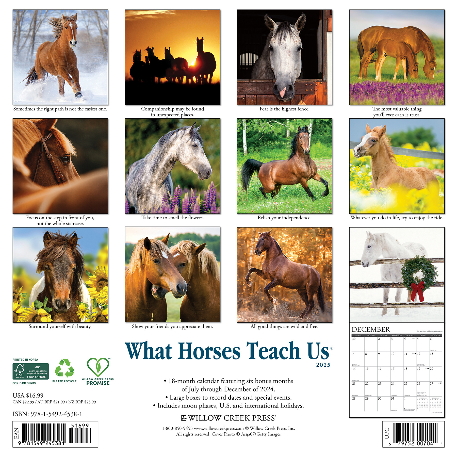 What Horses Teach Us Calendar 2025 Buy Order online easily