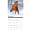 What Horses Teach Us Calendar 2025