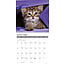 What Kittens Teach Us Kalender 2025