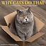 Why Cats Do That Calendar 2025