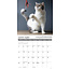 Warum Katzen das tun Kalender 2025