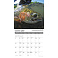 What Fly Fishing Teaches Us Calendar 2025