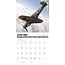 Warbirds of WWII Calendar 2025