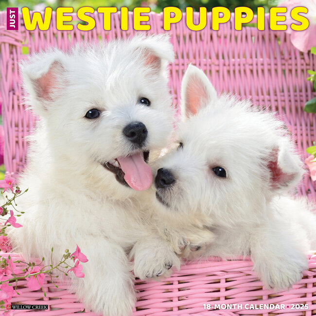 West Highland White Terrier Puppies Kalender 2025