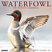 Willow Creek Calendrier des oiseaux d'eau 2025