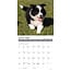 What Puppies Teach Us Calendar 2025