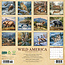 Wild America Calendar 2025