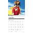 What Dogs Teach Us Calendar 2025