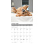 What Goldens Teach Us Calendar 2025