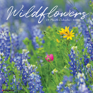 Willow Creek Feldblumen Kalender 2025