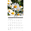 Field Flowers Calendar 2025