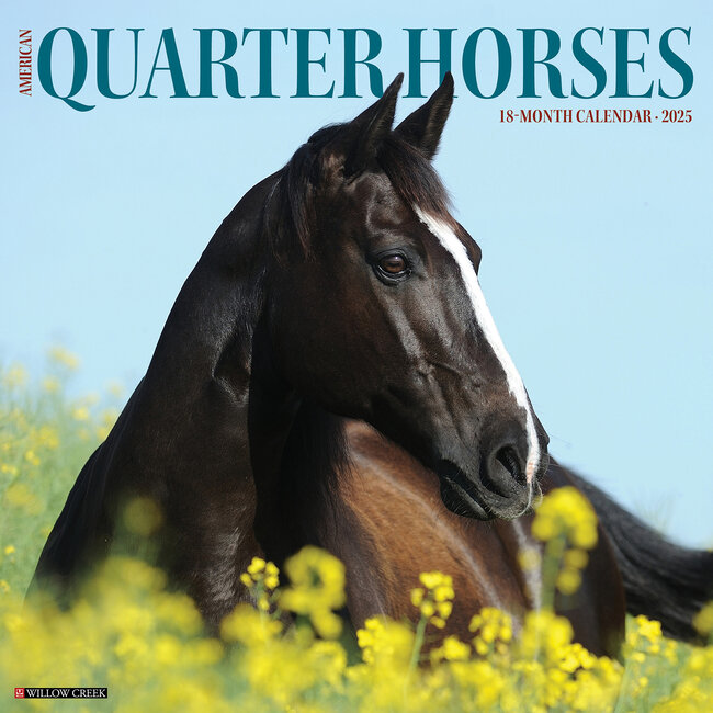 Calendario del cavallo americano Quarter Horse 2025