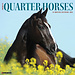 Willow Creek Calendario del cavallo americano Quarter Horse 2025
