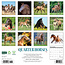 American Quarter Horse Calendar 2025