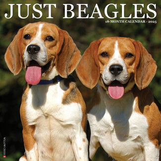 Willow Creek Beagle Calendar 2025