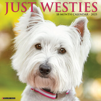 Willow Creek Calendrier West Highland White Terrier 2025