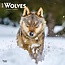 Browntrout Calendrier des loups 2025