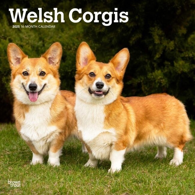 Calendario Welsh Corgi 2025