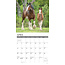 Clydesdales Kalender 2025