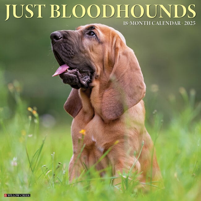 Bloodhound Calendar 2025