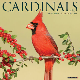 Willow Creek Cardinals Kalender 2025