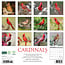 Cardinals Kalender 2025