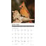 Cardinals Kalender 2025