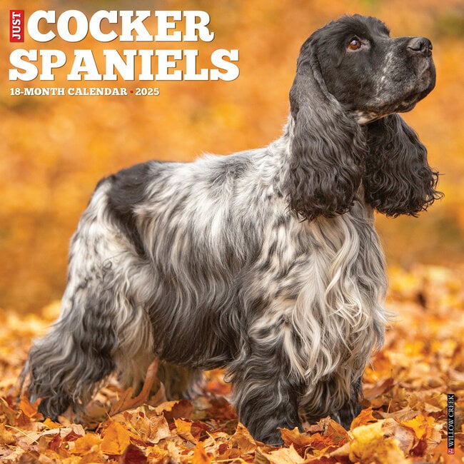 American Cocker Spaniel Calendar 2025