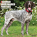 Willow Creek German Shorthaired Pointers Calendar 2025