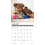 Puppy Playmates Kalender 2025