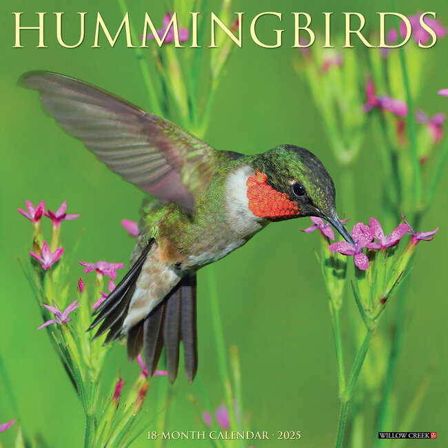 Hummingbirds Calendar 2025