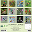 Hummingbirds Calendar 2025