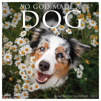 Willow Creek So God Made a Dog Calendar 2025