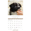 So God Made a Dog Kalender 2025