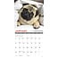 Mops-Kalender 2025